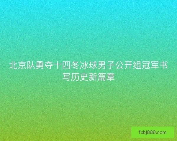 北京队勇夺十四冬冰球男子公开组冠军书写历史新篇章