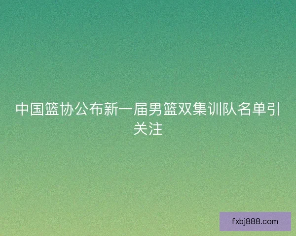 中国篮协公布新一届男篮双集训队名单引关注